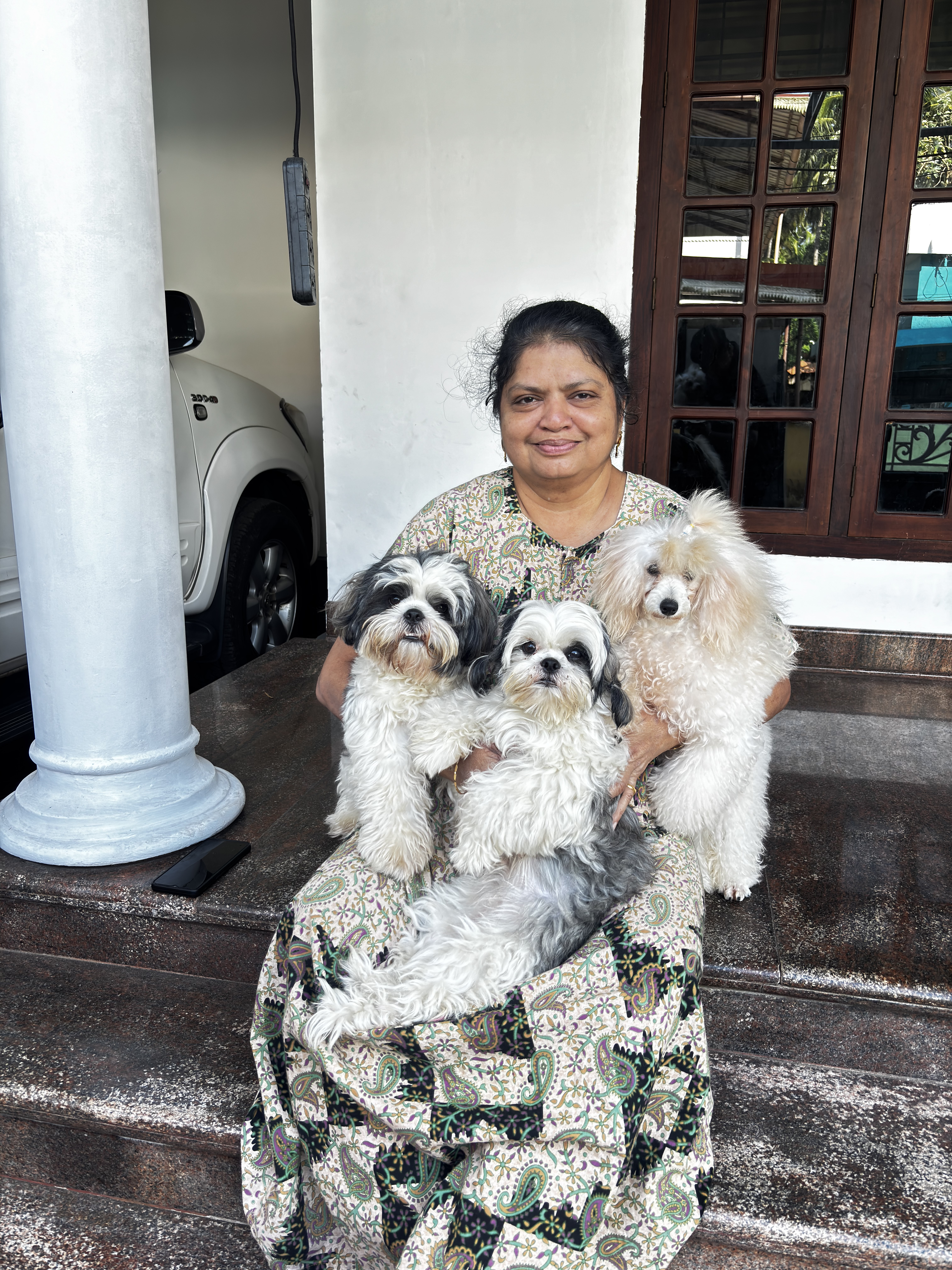 Cage-free home boarding room with dogs playing